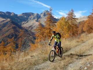 Sul bellissimo tratto in quota verso le Ginestre