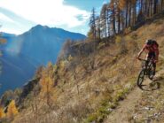 Sul sentiero delle Ginestre