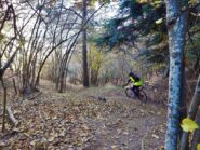 Sul lungo sentiero nel bosco verso il Pont d'la Ceino.