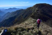 Cresta tra monte Lago e monte Alpesisa