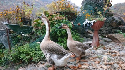 Incontri sul sentiero