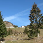 in arrivo a malga Sunio