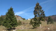 in arrivo a malga Sunio