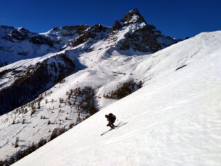 neve ottima