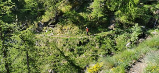 primo tratto di avvicinamento al Sentiero degli Alpini