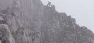 qualche passaggio di facile arrampicata nel tratto finale prima della cima