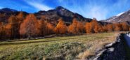 la magia dei colori autunnali nel pianoro iniziale
