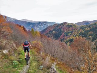 Si riaccendono i colori in discesa