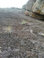 placca della via dei camini