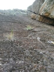 Placca Diedro Camini