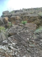 placca di collegamento 