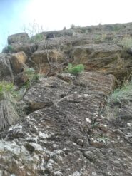 placca di collegamento 