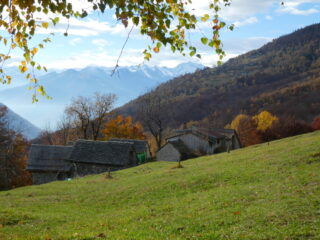 Alpe Versaja
