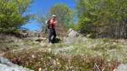 salendo dal Passo della Spingarda verso il Monte Aiona