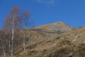 Usciti dal bosco appare la nostra meta