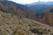 Il vallone di Ribordone