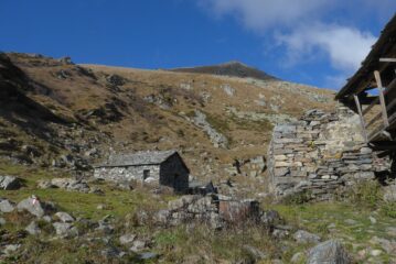 All'Alpe Arzola