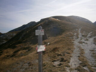 verso la cima Brignola