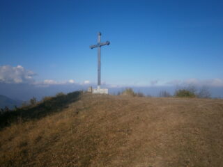 Tamone