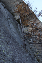 L6, dietro l'albero il friend azzurro incastrato sul percorso errato