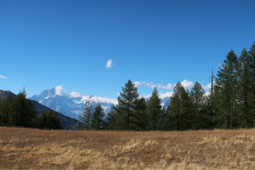 Il Bianco dal Plan Cou