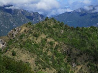 crus di coren
