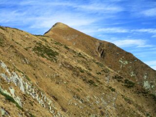 Testa di Menta dall'Alpe Ragozzale