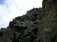 cresta