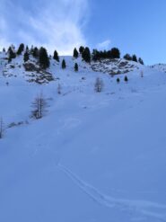 Parte centrale