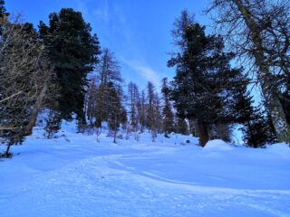 Ultimi pendii prima del piano
