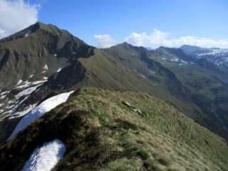azzarini