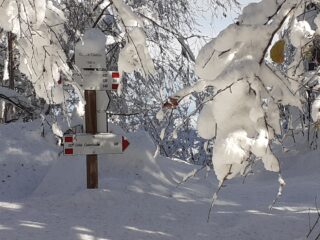 Altezza neve al Chiot d' Castlus 