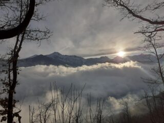 Scendendo
