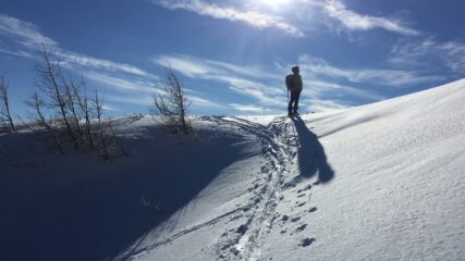 il Guru