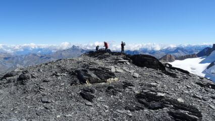 Dopo una breve salita di h. 1.30 siamo sulla piatta e desertica cima del Dome de la Lauze 3568mt.