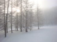 atmosfera