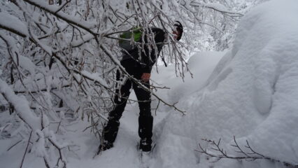 Si procede a fatica tra la molta neve e rami che ostruiscono il passaggio.