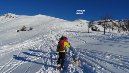 Saliamo i dolci pendii che portano verso la Cima di Grem.