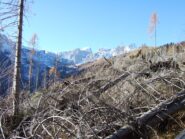 la distruzione di Vaia