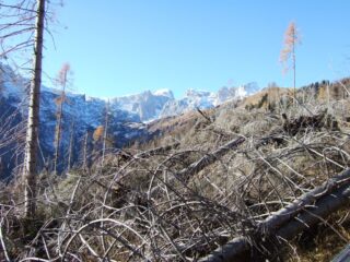 la distruzione di Vaia