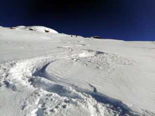 neve fantastica