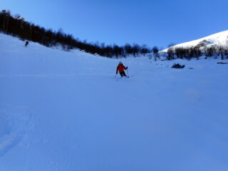 neve sempre top