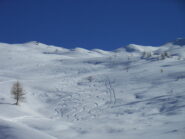 Tipiche tracce di ciaspolatori