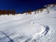 neve bella