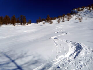 neve bella