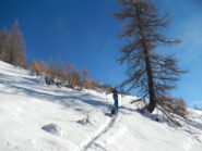 parte alta del percorso