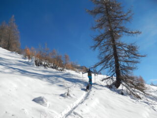 parte alta del percorso