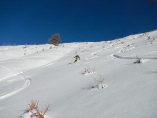 discesa su bella neve
