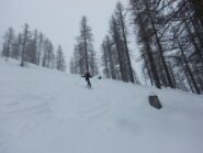 Brava Silvia, 7+...!