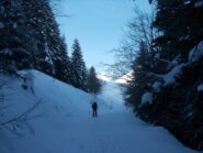 la pineta 